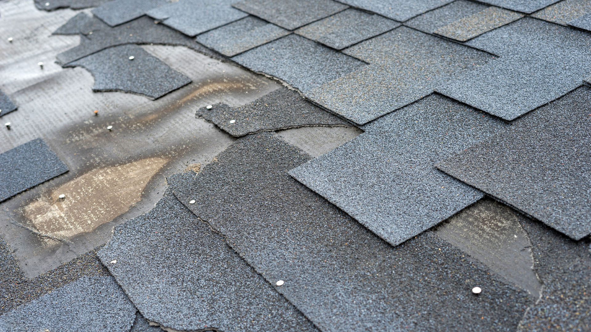 repair-blog-header