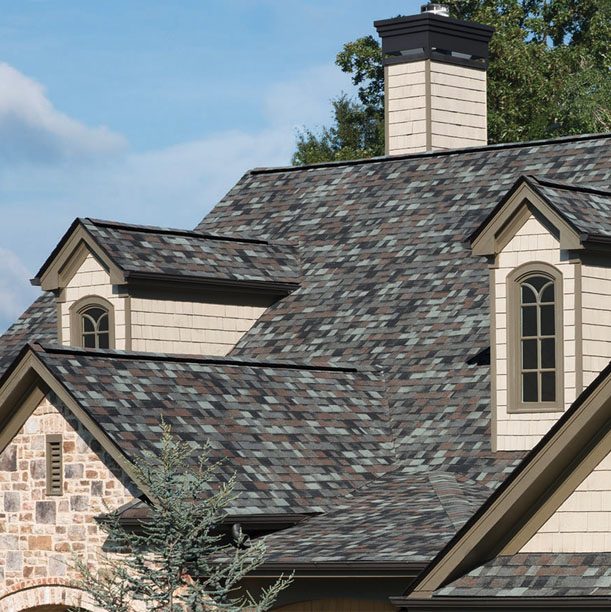 shingle-roof-fp
