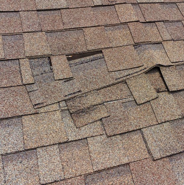 shingle-roof-repair